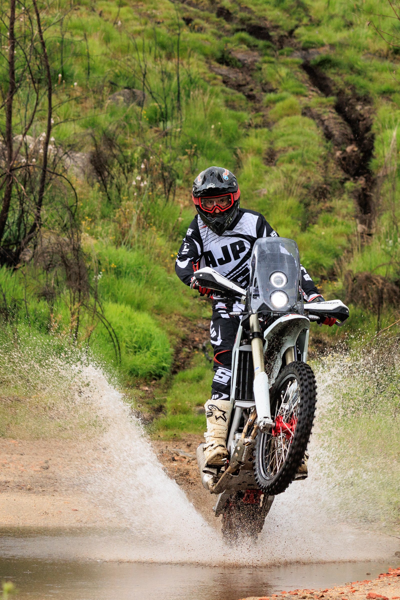 Blackmoto offizieller Vertrieb